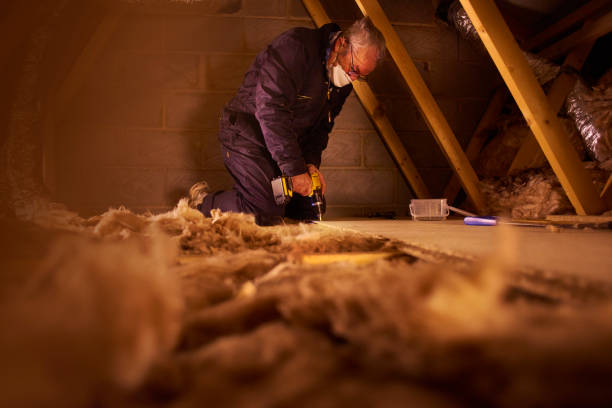 Best Energy Efficiency Solutions in Richton Park, IL